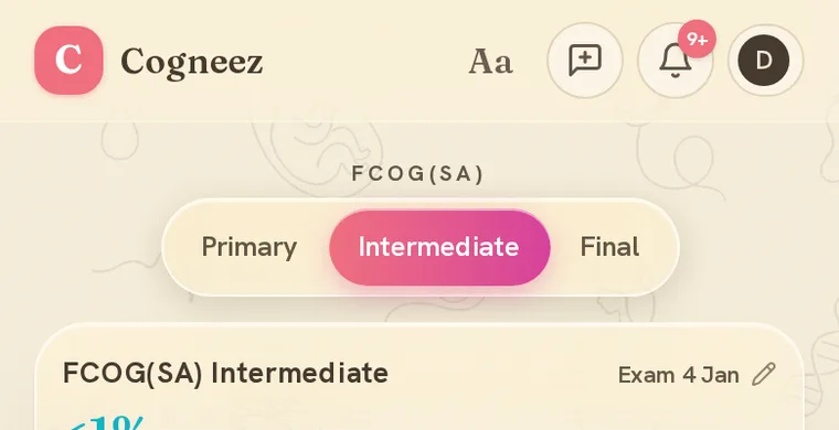 Top bar and the Primary / Intermediate / Final switch